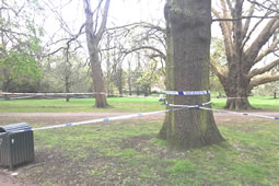 Man Fights For Life After Serious Assault in Acton Park