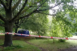 Acton Park Death Being Treated as Non-suspicious