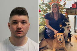 Man from Acton Jailed for Mowing Down Dogwalker