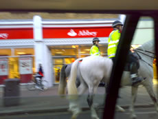 Police Horses Acton High Street