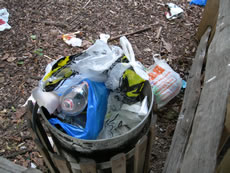 Bin in fenced enclosure