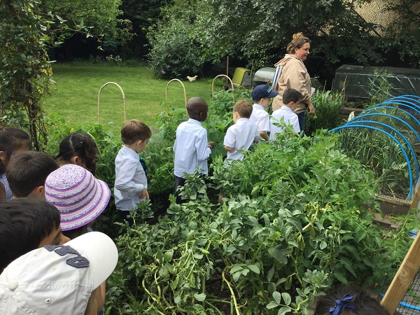 Class visit to Hen Corner