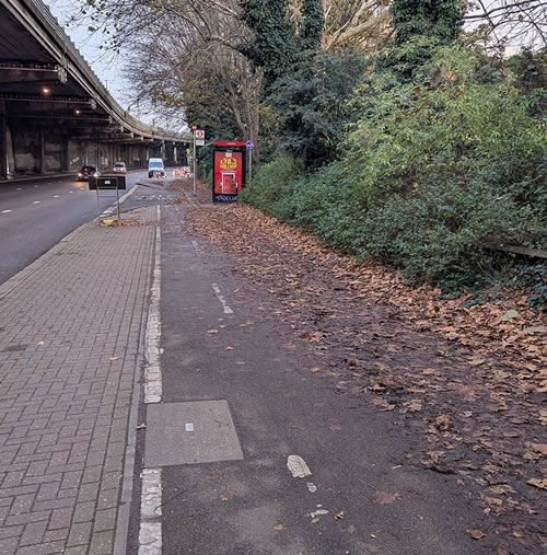 Leaves on A4 cycle path 