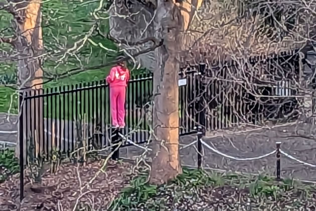 child on Brentford dock gates