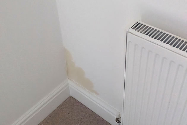 Damp in corner 
