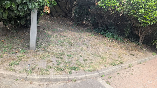 New Road grass verge 