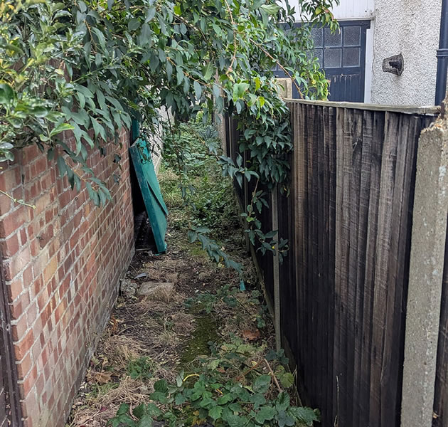 Out of control vegetation 