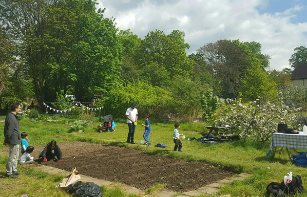 allotments at Park Road