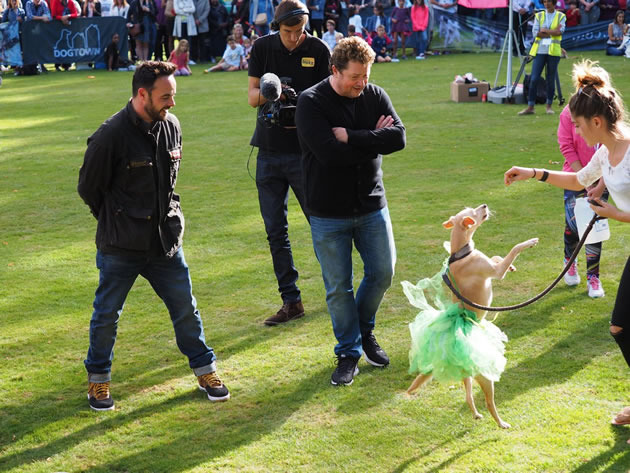 Chiswick House Dog Show