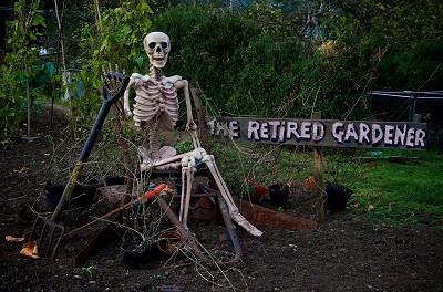 Northfields Allotments Halloween