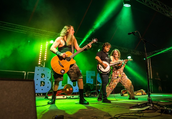 Hayseed Dixie at Blues Festival