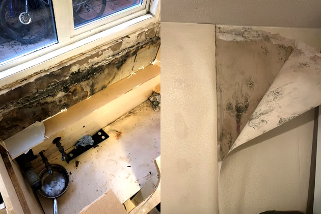 Damage from damp in High Lane estate flats 