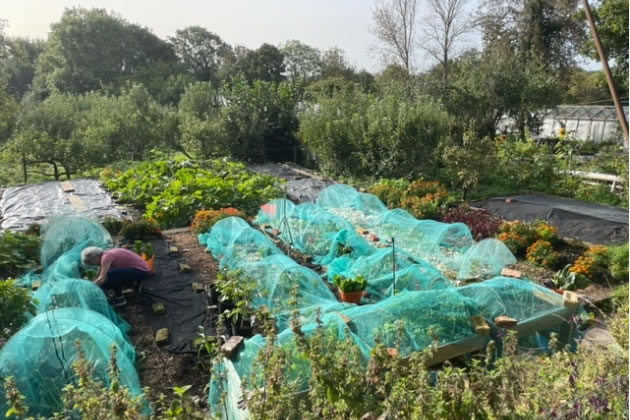 Work of volunteers on Horsenden Farm recognised