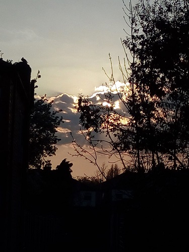 Perivale Sunset Liz S