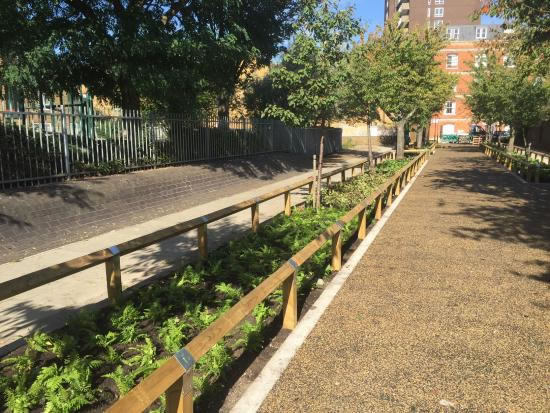 Rain garden on Stevenage Road, Fulham