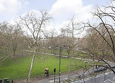 The view from Aragon House in Fulham