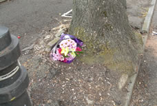 Flowers outside King Fahad Academy