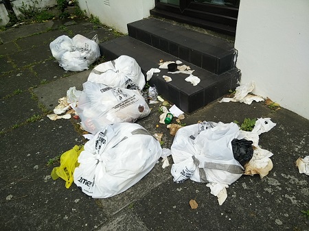 Dumped commercial waste on Windmill Road W5