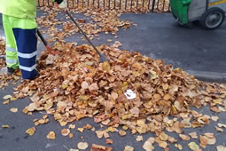 Lib Dems Claim Labour Failing on Fly Tips and Street Sweeping