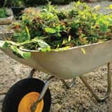 Garden waste items 