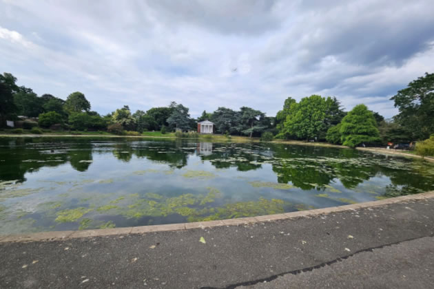 Campaigners say absence of birdlife by the pond is due to impact of events