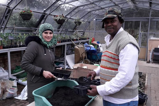 Volunteers working at Ravenscourt Glasshouses