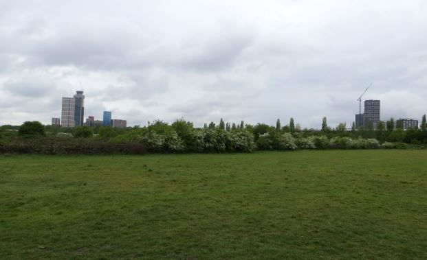 View across Wormwood Scrubs as it is now