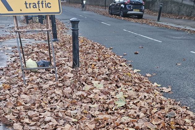 Unswept leaves by Strand on the Green